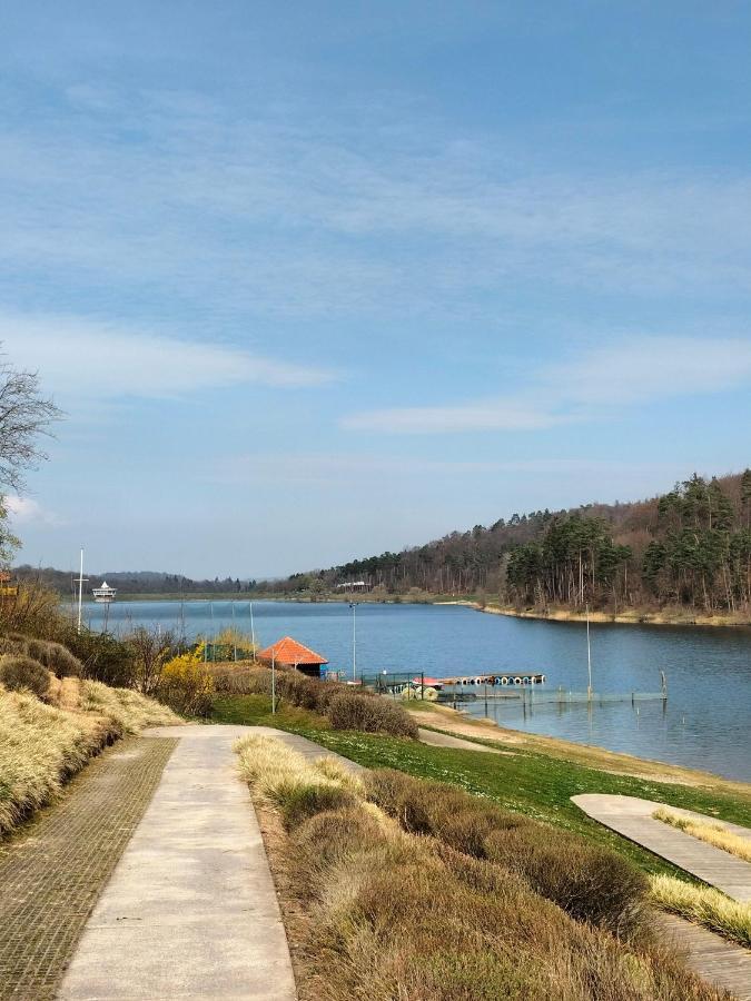 Neues-Ferienhaus-Am-Schoenen-Ferienpark-Twistesee-Naehe-Bad-Arolsen Bad Arolsen Esterno foto